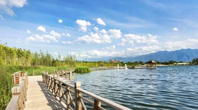 央視關(guān)注公司參建項目|富平縣石川河國家濕地公園